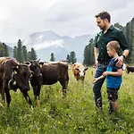 Inn Berggasthaus Hoellensteinhuette 3*