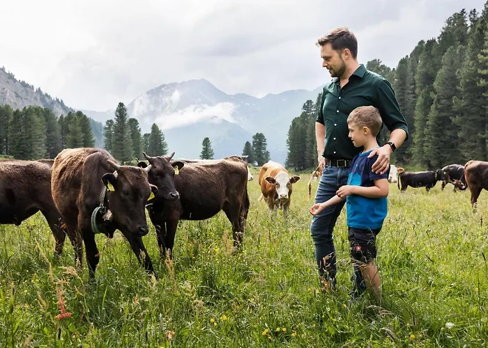 イン Berggasthaus Hoellensteinhuette 3*