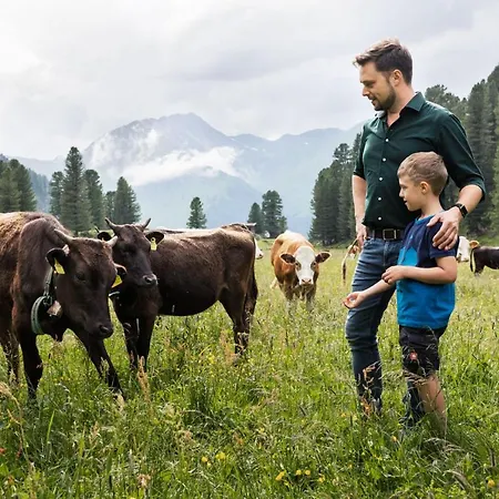 بيت ريفي Berggasthaus Hollensteinhutte 3*