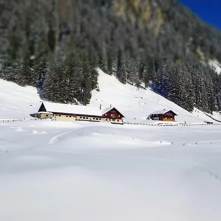 بيت ريفي Berggasthaus Hollensteinhutte 3*